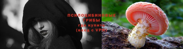 трава Володарск