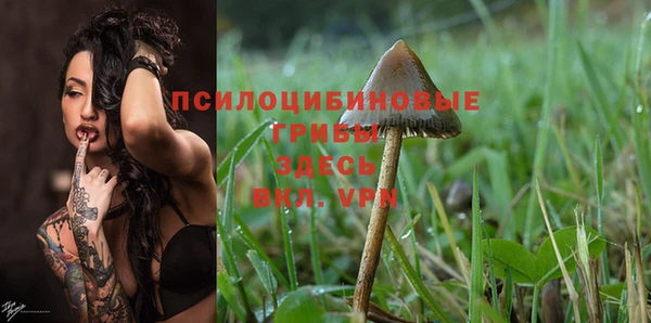 MESCALINE Волоколамск
